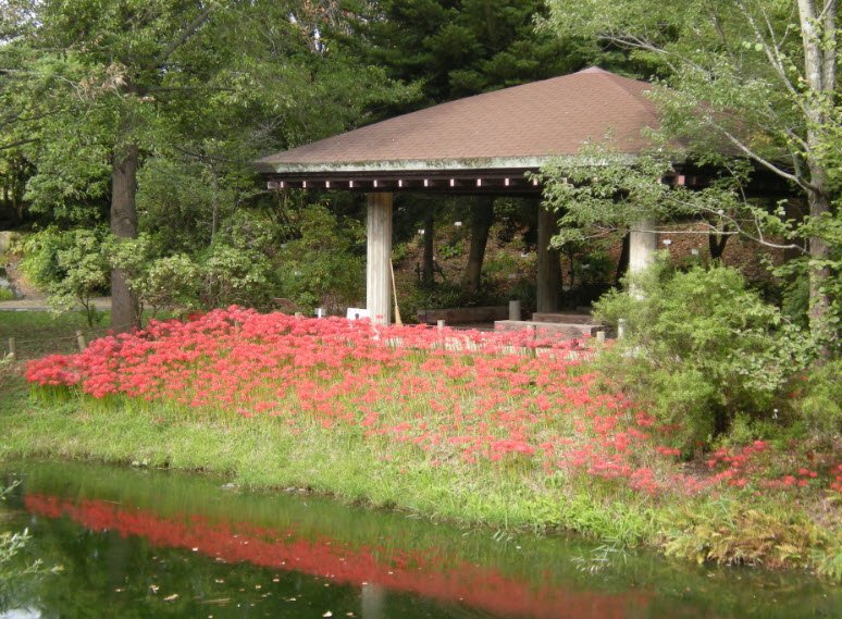 The Tsukuba Botanical Garden, Japan